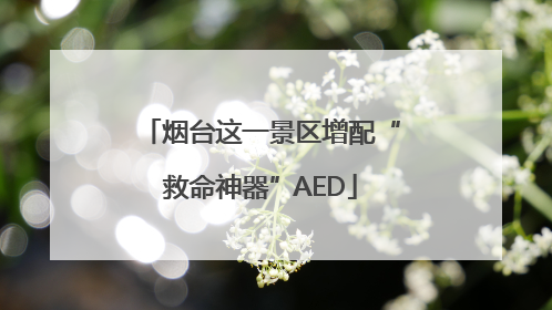 烟台这一景区增配“救命神器”AED