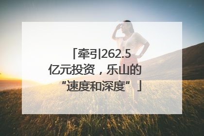 牵引262.5亿元投资，乐山的“速度和深度”