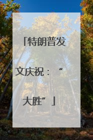 特朗普发文庆祝：“大胜”