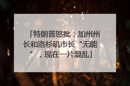 特朗普怒批：加州州长和洛杉矶市长“无能”，现在一片混乱