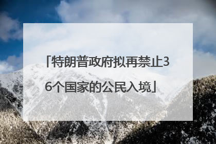 特朗普政府拟再禁止36个国家的公民入境