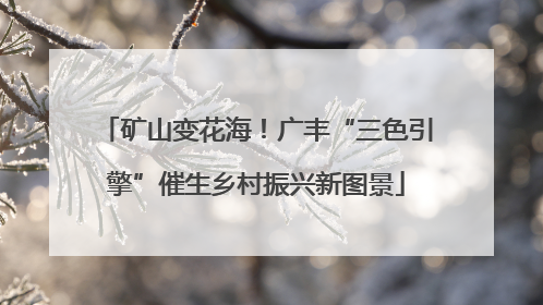 矿山变花海！广丰“三色引擎”催生乡村振兴新图景