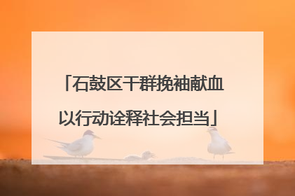 石鼓区干群挽袖献血 以行动诠释社会担当