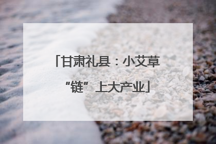 甘肃礼县：小艾草“链”上大产业