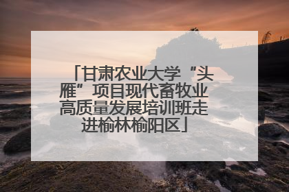 甘肃农业大学“头雁”项目现代畜牧业高质量发展培训班走进榆林榆阳区