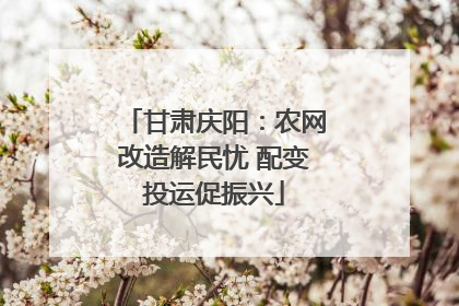 甘肃庆阳：农网改造解民忧 配变投运促振兴
