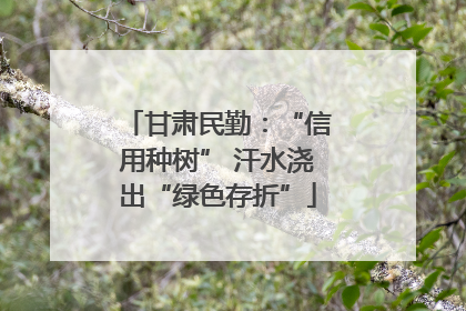 甘肃民勤：“信用种树” 汗水浇出“绿色存折”
