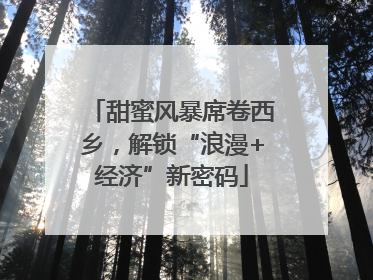 甜蜜风暴席卷西乡，解锁“浪漫+经济”新密码