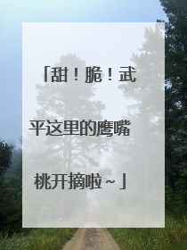 甜！脆！武平这里的鹰嘴桃开摘啦～