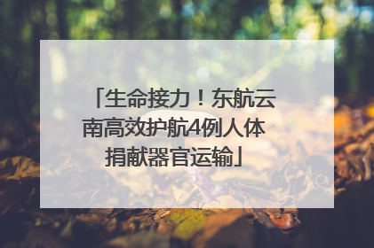 生命接力！东航云南高效护航4例人体捐献器官运输
