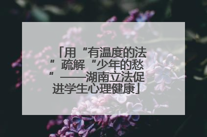 用“有温度的法”疏解“少年的愁”——湖南立法促进学生心理健康