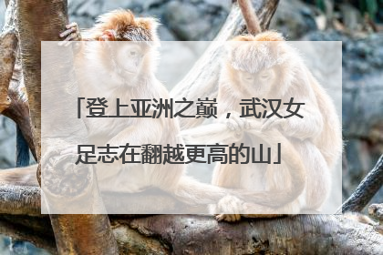 登上亚洲之巅，武汉女足志在翻越更高的山