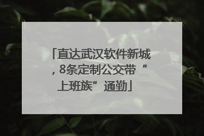 直达武汉软件新城，8条定制公交带“上班族”通勤