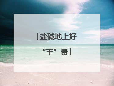盐碱地上好“丰”景