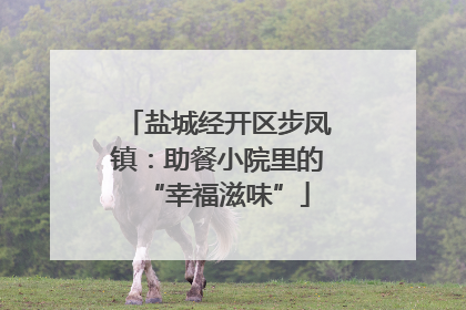 盐城经开区步凤镇：助餐小院里的“幸福滋味”