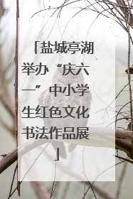 盐城亭湖举办“庆六一”中小学生红色文化书法作品展