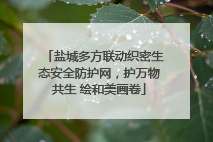 盐城多方联动织密生态安全防护网，护万物共生 绘和美画卷
