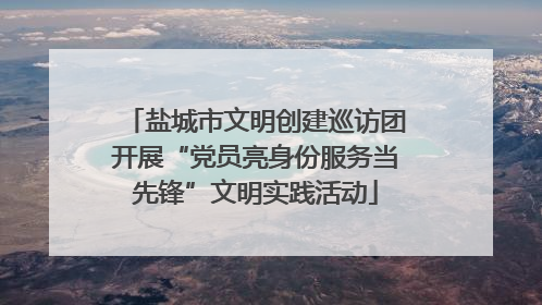 盐城市文明创建巡访团开展“党员亮身份服务当先锋”文明实践活动