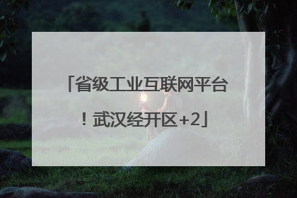 省级工业互联网平台！武汉经开区+2