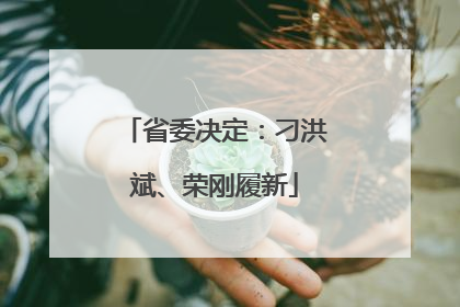 省委决定：刁洪斌、荣刚履新