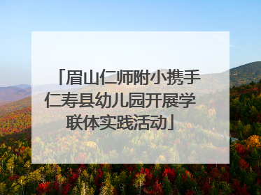 眉山仁师附小携手仁寿县幼儿园开展学联体实践活动