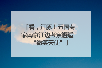 看，江豚！五国专家南京江边考察邂逅“微笑天使”
