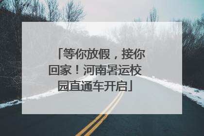 等你放假，接你回家！河南暑运校园直通车开启