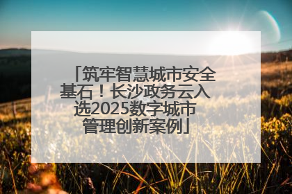 筑牢智慧城市安全基石！长沙政务云入选2025数字城市管理创新案例