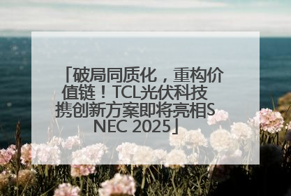 破局同质化，重构价值链！TCL光伏科技携创新方案即将亮相SNEC 2025