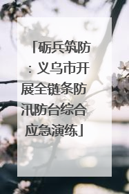 砺兵筑防：义乌市开展全链条防汛防台综合应急演练
