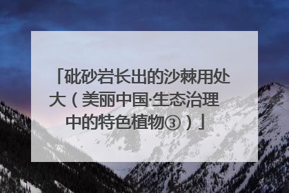 砒砂岩长出的沙棘用处大（美丽中国·生态治理中的特色植物③）