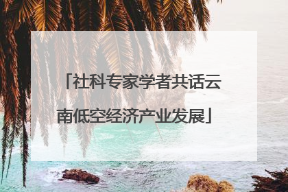 社科专家学者共话云南低空经济产业发展