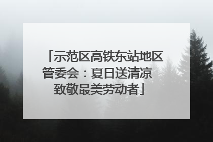 示范区高铁东站地区管委会：夏日送清凉 致敬最美劳动者