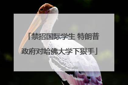 禁招国际学生 特朗普政府对哈佛大学下狠手