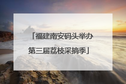 福建南安码头举办第三届荔枝采摘季