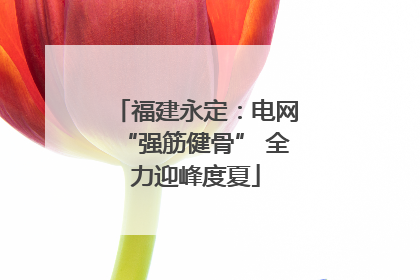 福建永定：电网“强筋健骨” 全力迎峰度夏