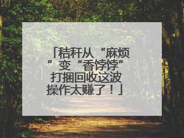 秸秆从“麻烦”变“香饽饽” 打捆回收这波操作太赚了！