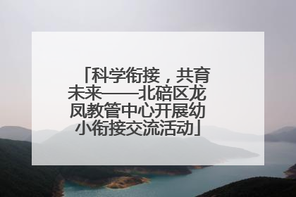 科学衔接，共育未来——北碚区龙凤教管中心开展幼小衔接交流活动