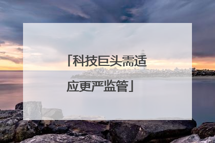 科技巨头需适应更严监管