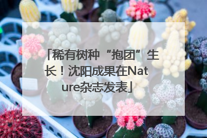 稀有树种“抱团”生长！沈阳成果在Nature杂志发表