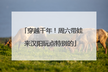 穿越千年！周六带娃来汉阳玩点特别的