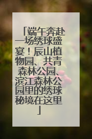 端午奔赴一场绣球盛宴！辰山植物园、共青森林公园、滨江森林公园里的绣球秘境在这里