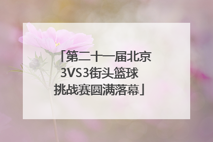 第二十一届北京3VS3街头篮球挑战赛圆满落幕