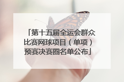 第十五届全运会群众比赛网球项目（单项）预赛决赛圈名单公布