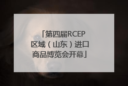第四届RCEP区域（山东）进口商品博览会开幕