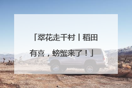 翠花走千村丨稻田有喜，螃蟹来了！