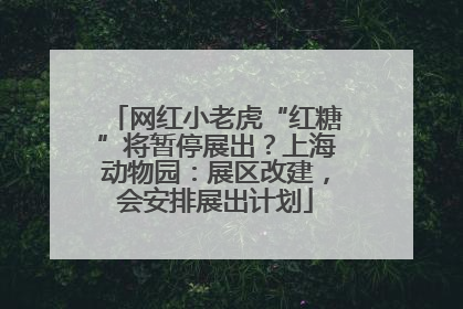网红小老虎“红糖”将暂停展出？上海动物园：展区改建，会安排展出计划