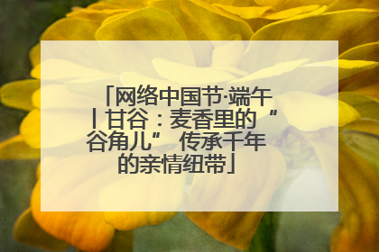 网络中国节·端午丨甘谷：麦香里的“谷角儿” 传承千年的亲情纽带