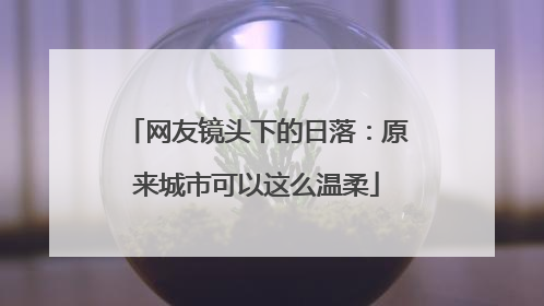网友镜头下的日落：原来城市可以这么温柔