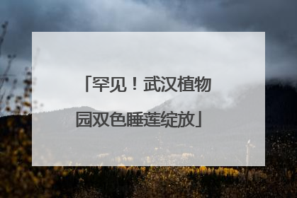 罕见！武汉植物园双色睡莲绽放